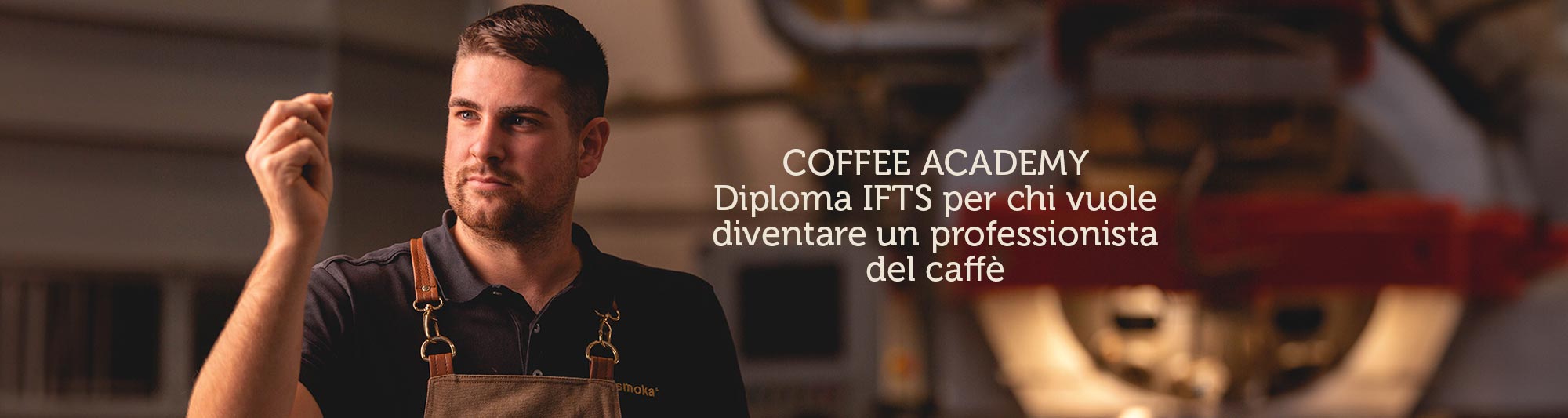 Diploma IFTS